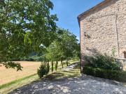 PODERE PIANA