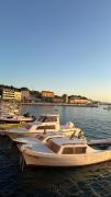 Top Senj