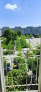 Top Wrocław