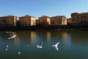 Top Verona