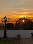 Top Faro