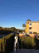 Top Orihuela Costa