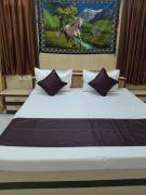 Top Udaipur