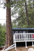 Top Loon Lake