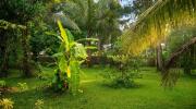 Aero Haven Transit Guest Negombo