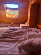 Top Allos
