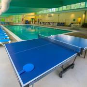 Top Mashpee