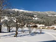 Top Wald im Pinzgau
