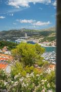 Top Dubrovnik