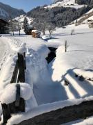 Top Wald im Pinzgau