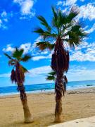 Top Calpe