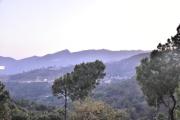 Top Dharampur