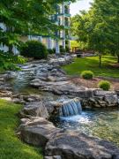 Top Branson