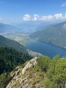 Il ciliegio sul lago