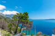 Top Marusici