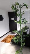 Apartamentos Lindos Economicos proximos al Parque del Cafe