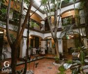 Top Oaxaca