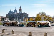 Top Padova