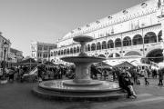 Top Padova