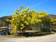 Top Arles-sur-Tech