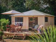 Top Arles-sur-Tech