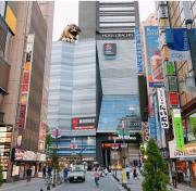 Top Tokyo