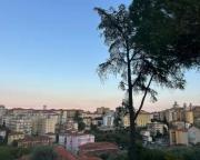 Top Imperia