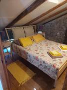 Top Tolmin