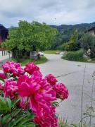 Familien-Bauernhof Neumoar