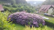 Top Stolberg i. Harz