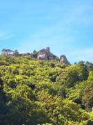 Top Sintra