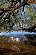 Top Carp Lake