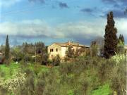 Top Siena