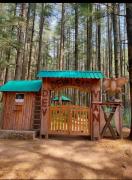 Top Dhanaulti