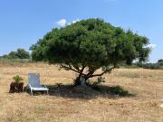 Top San Pietro in Bevagna