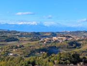 Top Vignale