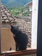 Top Entrevaux