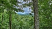 Top Blue Ridge