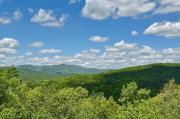 Top Mineral Bluff