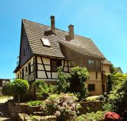 Neckarschleife-Apartment
