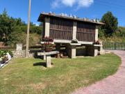 Top Viveiro