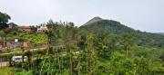 Top Kalasa