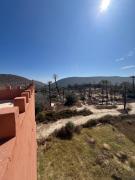Palm Paradise Alma Homestay