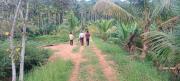 Top Wayanad