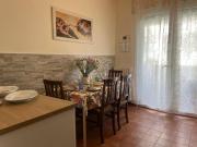 Top Camaiore