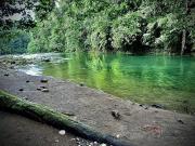 Top Guápiles Top Guápiles