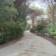 Top Eraclea Mare