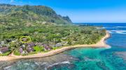 Top Hanalei