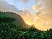 Top Hanalei
