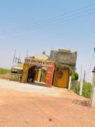 Top Phalodi